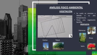 ANÁLISIS FISICO AMBIENTAL
18
VEGETACIÓN
• Su suelo es arenoso y
debido a su alta
temperatura.
• Tiene una vegetación
Xerófila.
PROPUESTA
Palmeras
Cactus Yaque
Pinos
Ixora
 