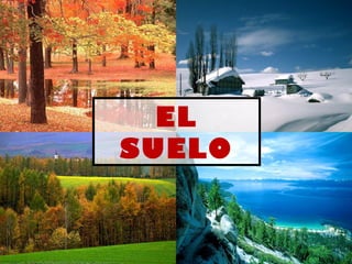 EL
SUELO
 