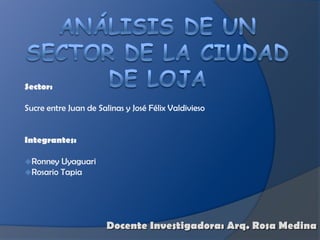 ANÁLISIS DE UN SECTOR DE LA CIUDAD DE LOJA Sector:  Sucre entre Juan de Salinas y José Félix Valdivieso Integrantes:  ,[object Object]