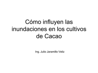 Cómo influyen las
inundaciones en los cultivos
         de Cacao

        Ing. Julio Jaramillo Veliz
 