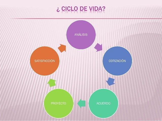 Analisis diseño de sistemas ciclo de vida