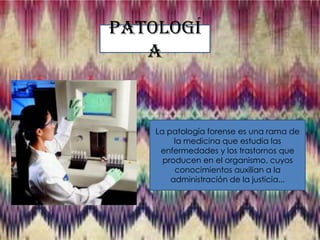 Patologí
a

La patología forense es una rama de
la medicina que estudia las
enfermedades y los trastornos que
producen en el organismo, cuyos
conocimientos auxilian a la
administración de la justicia...

 