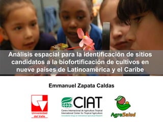 Emmanuel Zapata Caldas
Análisis espacial para la identificación de sitios
candidatos a la biofortificación de cultivos en
nueve países de Latinoamérica y el Caribe
 