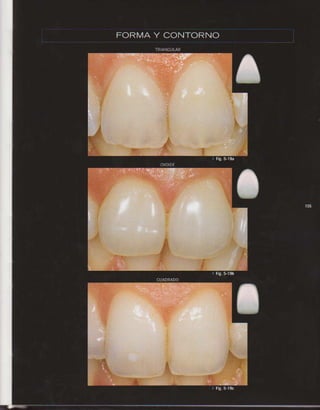 LIVRO Análise Estética: odontostation@gmail.com