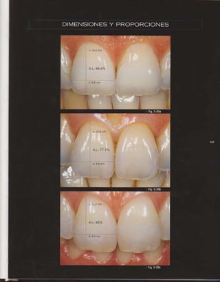 LIVRO Análise Estética: odontostation@gmail.com