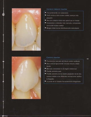 LIVRO Análise Estética: odontostation@gmail.com
