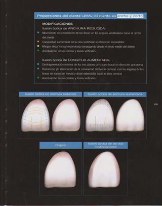 LIVRO Análise Estética: odontostation@gmail.com