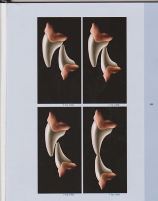 LIVRO Análise Estética: odontostation@gmail.com