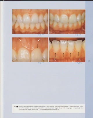 LIVRO Análise Estética: odontostation@gmail.com