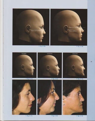 LIVRO Análise Estética: odontostation@gmail.com