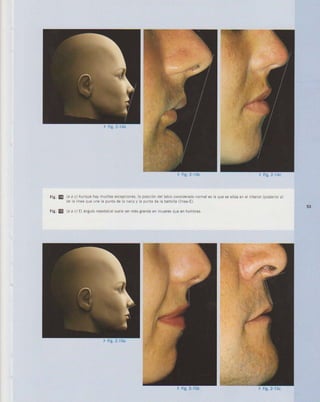 LIVRO Análise Estética: odontostation@gmail.com