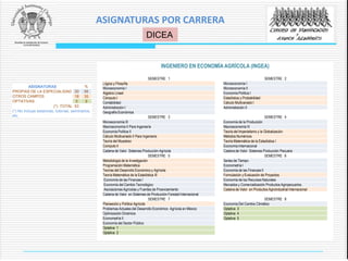 INGENIERO EN ECONOMÍA AGRÍCOLA (INGEA)
SEMESTRE 1 SEMESTRE 2
Lógica y Filosofía Microeconomía I
Microeconomía I Microeconomía II
Algebra Lineal Economía Política I
Cómputo I Estadística y Probabilidad
Contabilidad Cálculo Multivariado I
Administración I Administración II
Geografía Económica
SEMESTRE 3 SEMESTRE 4
Microeconomía III Economía de la Producción
Macroeconomía II Para Ingeniería Macroeconomía III
Economía Política II Teoría del Imperialismo y la Globalización
Cálculo Multivariado II Para Ingenieria Métodos Numéricos
Teoría del Muestreo Teoría Matemática de la Estadística I
Computo II Economía Internacional
Cadena de Valor Sistemas Producción Agrícola Cadena de Valor Sistemas Producción Pecuaria
SEMESTRE 5 SEMESTRE 6
Metodología de la Investigación Series de Tiempo
Programación Matemática Econometría I
Teorías del Desarrollo Económico y Agrícola Economía de las Finanzas II
Teoría Matemática de la Estadística III Formulación y Evaluación de Proyectos
Economía de las Finanzas I Economía de los Recursos Naturales
Economía del Cambio Tecnológico Mercados y Comercialización Productos Agropecuarios.
Asociaciones Agrícolas y Fuentes de Financiamiento Cadena de Valor en Productos Agroindustrial Internacional
Cadena de Valor en Sistemas de Producción Forestal Internacional
SEMESTRE 7 SEMESTRE 8
Planeación y Política Agrícola Economía Del Cambio Climático
Problemas Actuales del Desarrollo Económico Agrícola en México Optativa 3
Optimización Dinámica Optativa 4
Econometría II Optativa 5
Economía del Sector Público
Optativa 1
Optativa 2
ASIGNATURAS %
PROPIAS DE LA ESPECIALIDAD 30 56
OTROS CAMPOS 18 35
OPTATIVAS 5 9
(*) TOTAL 53
(*) No incluye estancias, tutorías, seminarios,
etc.
DICEA
ASIGNATURAS POR CARRERA
 