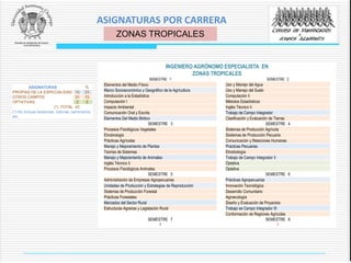 INGENIERO AGRÓNOMO ESPECIALISTA EN
ZONAS TROPICALES
SEMESTRE 1 SEMESTRE 2
Elementos del Medio Físico Uso y Manejo del Agua
Marco Socioeconómico y Geográfico de la Agrícultura Uso y Manejo del Suelo
Introducción a la Estadística Computación Ii
Computación I Métodos Estadísticos
Impacto Ambiental Inglés Técnico Ii
Comunicación Oral y Escrita Trabajo de Campo Integrador
Elementos Del Medio Biótico Clasificación y Evaluación de Tierras
SEMESTRE 3 SEMESTRE 4
Procesos Fisiológicos Vegetales Sistemas de Producción Agrícola
Etnobiologia Sisitemas de Producción Pecuaria
Prácticas Agrícolas Comunicación y Relaciones Humanas
Manejo y Mejoramiento de Plantas Practicas Pecuarias
Teorías de Sistemas Etnobiología
Manejo y Mejoramiento de Animales Trabajo de Campo Integrador Ii
Inglés Técnico Ii Optativa
Procesos Fisiológicos Animales Optativa
SEMESTRE 5 SEMESTRE 6
Administración de Empresas Agropecuarias Prácticas Agropecuarias
Unidades de Producción y Estrategias de Reproducción Innovación Tecnológica
Sistemas de Producción Forestal Desarrollo Comunitario
Prácticas Forestales Agroecología
Mercados del Sector Rural Diseño y Evaluación de Proyectos
Estructuras Agrarias y Legislación Rural Trabajo se Campo Integrador III
Conformación de Regiones Agrícolas
SEMESTRE 7 SEMESTRE 8
? ?
ASIGNATURAS %
PROPIAS DE LA ESPECIALIDAD 10 23
OTROS CAMPOS 31 72
OPTATIVAS 2 5
(*) TOTAL 43
(*) No incluye estancias, tutorías, seminarios,
etc.
ZONAS TROPICALES
ASIGNATURAS POR CARRERA
 