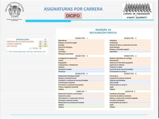 ASIGNATURAS %
PROPIAS DE LA ESPECIALIDAD 15 27
OTROS CAMPOS 35 64
OPTATIVAS 5 9
(*) TOTAL 55
(*) No incluye estancias, tutorías, seminarios, etc.
INGENIERÍA EN
RESTAURACIÓN FORESTAL
SEMESTRE 1 SEMESTRE 2
Matemáticas Estadística
Biología y diversidad vegetal Ecofisología
Geología Génesis de física y conservación del suelo
Bioquímica fisiológica Bioclimatología
Ecología Biología y diversidad vegetal II
Informática Dasometría
Redacción documental
SEMESTRE 3 SEMESTRE 4
Investigación de operaciones Modelos matemáticos en ecología
Viveros Reforestación
Biogeografía Sistemas de información geográfica
Fotogrametría y Teledetección Ingeniería en sistemas
Muestreo Protección Forestal
Genotécnia Forestal Economía de los recursos forestales
Silvicultura Entrenamiento en campo I
SEMESTRE 5 SEMESTRE 6
Restauración hidrológica forestal Arboricultura
Biología y diversidad animal Evaluación de impacto ambiental
Evaluación y monitoreo de recursos forestales Sistemas agroforestales
Contaminación ambiental Salud forestal
Formulación y evaluación de proyectos Entrenamiento en campo II
Política y legislación ambiental Inglés
Optativa Optativa
SEMESTRE 7 SEMESTRE 8
Relaciones humanas y comunicación Arquitectura del paisaje
Dasonomía urbana Economía de deterioro ambiental
Administración y conservación de fauna Manejo y conservación de áreas protegidas
Sociología y extensión forestal Formación empresarial
Restauración de ecosistemas forestales Entrenamiento de campo III
Optativa Inglés
Optativa Optativa
DICIFO
ASIGNATURAS POR CARRERA
 