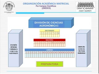 ORGANIZACIÓN ACADÉMICA MATRICIAL
Por Campos Científicos
(UNESCO)
 