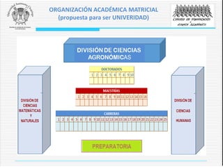 ORGANIZACIÓN ACADÉMICA MATRICIAL
(propuesta para ser UNIVERIDAD)
 