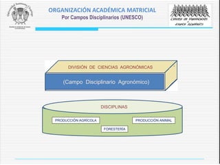 (Campo Disciplinario Agronómico)
DIVISIÓN DE CIENCIAS AGRONÓMICAS
DISCIPLINAS
PRODUCCIÓN AGRÍCOLA
FORESTERÍA
PRODUCCIÓN ANIMAL
ORGANIZACIÓN ACADÉMICA MATRICIAL
Por Campos Disciplinarios (UNESCO)
 