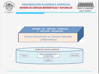CAMPOS DISCIPLINARIOS
QUÍMICA
BIOLOGÁI
LÓGICA, MATEMÁTICAS Y
ESTADÍSTICAFÍSICA
(Campo Disciplinario en Ciencias Naturales
y Matemáticas)
DIVISIÓN DE CIENCIAS FORMALES
Y FÁCTICAS NATURALES
ORGANIZACIÓN ACADÉMICA MATRICIAL
DIVISIÓN DE CIENCIAS MATEMÁTICAS Y NATURALES
 