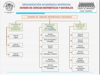 DIVISIÓN DE CIENCIAS MATEMÁTICAS Y NATURALES
ACADEMIA DE
LÓGICA,
MATEMÁTICAS Y
ESTADÍSTICA
Área de
Lógica
Área de
Estadística
Área de
Matemáticas
ACADEMIA DE
CIENCIAS
DE LA TIERRA
Y LA ATMÓSFERA
Área de
Física y Química
Área de
Suelos
Área de Geografía y
Atmósfera
Área de
Hidrología e Irrigación
ACADEMIA DE
CIENCIAS DE
LA VIDA
Área de
Botánica
Área de
Bioquímica
Área de
Parasitología
Área de
Ecología y
Ecofisiología
Área de
Zoología
ORGANIZACIÓN ACADÉMICA MATRICIAL
DIVISIÓN DE CIENCIAS MATEMÁTICAS Y NATURALES
Área de
Ingeniería y Procesos
Industriales
Área de
Tecnología de
alimentos
Área de
Termodinámica
 