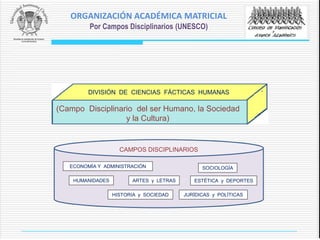 DIVISIÓN DE CIENCIAS FÁCTICAS HUMANAS
CAMPOS DISCIPLINARIOS
ECONOMÍA Y ADMINISTRACIÓN SOCIOLOGÍA
HUMANIDADES
HISTORIA y SOCIEDAD JURÍDICAS y POLÍTICAS
ESTÉTICA y DEPORTES
(Campo Disciplinario del ser Humano, la Sociedad
y la Cultura)
ARTES y LETRAS
ORGANIZACIÓN ACADÉMICA MATRICIAL
Por Campos Disciplinarios (UNESCO)
 