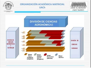 ORGANIZACIÓN ACADÉMICA MATRICIAL
UACh
 