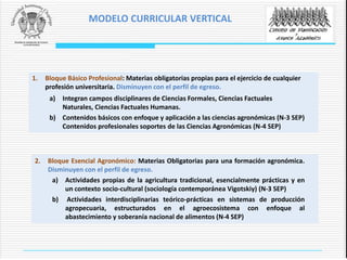 1. Bloque Básico Profesional: Materias obligatorias propias para el ejercicio de cualquier
profesión universitaria. Disminuyen con el perfil de egreso.
a) Integran campos disciplinares de Ciencias Formales, Ciencias Factuales
Naturales, Ciencias Factuales Humanas.
b) Contenidos básicos con enfoque y aplicación a las ciencias agronómicas (N-3 SEP)
Contenidos profesionales soportes de las Ciencias Agronómicas (N-4 SEP)
2. Bloque Esencial Agronómico: Materias Obligatorias para una formación agronómica.
Disminuyen con el perfil de egreso.
a) Actividades propias de la agricultura tradicional, esencialmente prácticas y en
un contexto socio-cultural (sociología contemporánea Vigotskiy) (N-3 SEP)
b) Actividades interdisciplinarias teórico-prácticas en sistemas de producción
agropecuaria, estructurados en el agroecosistema con enfoque al
abastecimiento y soberanía nacional de alimentos (N-4 SEP)
MODELO CURRICULAR VERTICAL
 