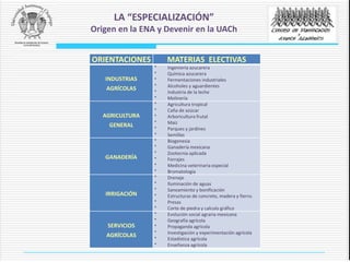 ORIENTACIONES MATERIAS ELECTIVAS
INDUSTRIAS
AGRÍCOLAS
* Ingeniería azucarera
* Química azucarera
* Fermentaciones industriales
* Alcoholes y aguardientes
* Industria de la leche
* Molinería
AGRICULTURA
GENERAL
* Agricultura tropical
* Caña de azúcar
* Arboricultura frutal
* Maíz
* Parques y jardines
* Semillas
GANADERÍA
* Biogenesia
* Ganadería mexicana
* Zootecnia aplicada
* Forrajes
* Medicina veterinaria especial
* Bromatología
IRRIGACIÓN
* Drenaje
* Iluminación de aguas
* Saneamiento y bonificación
* Estructuras de concreto, madera y fierro.
* Presas
* Corte de piedra y calculo gráfico
SERVICIOS
AGRÍCOLAS
* Evolución social agraria mexicana
* Geografía agrícola
* Propaganda agrícola
* Investigación y experimentación agrícola
* Estadística agrícola
* Enseñanza agrícola
LA “ESPECIALIZACIÓN”
Origen en la ENA y Devenir en la UACh
 