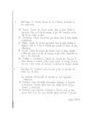 Analisis estructural