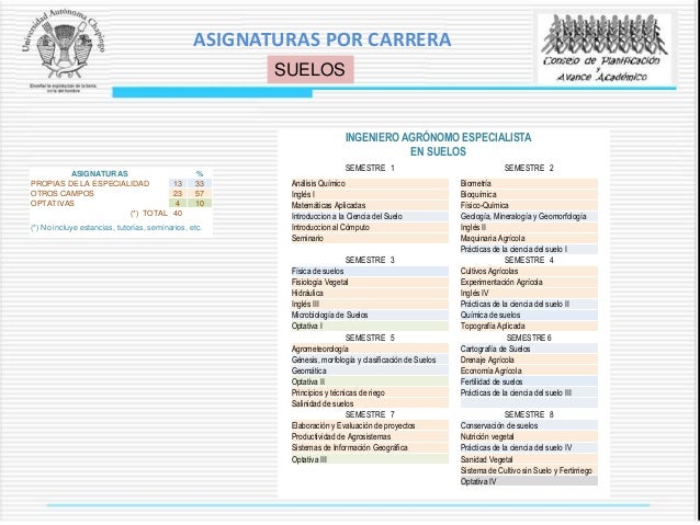 Analisis De La Estructura Academica De La Uach Chapingo