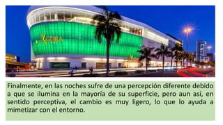 Finalmente, en las noches sufre de una percepción diferente debido
a que se ilumina en la mayoría de su superficie, pero aun así, en
sentido perceptiva, el cambio es muy ligero, lo que lo ayuda a
mimetizar con el entorno.
 