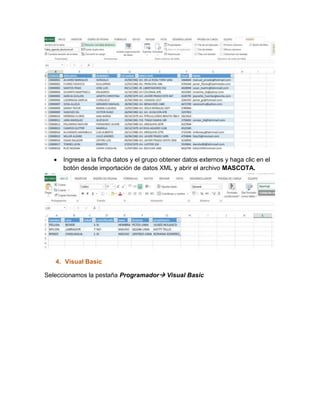  Ingrese a la ficha datos y el grupo obtener datos externos y haga clic en el 
botón desde importación de datos XML y abrir el archivo MASCOTA. 
4. Visual Basic 
Seleccionamos la pestaña Programador Visual Basic 
 