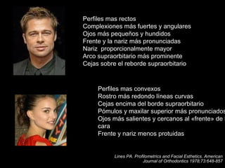 Perfiles mas rectos
Complexiones más fuertes y angulares
Ojos más pequeños y hundidos
Frente y la nariz más pronunciadas
Nariz proporcionalmente mayor
Arco supraorbitario más prominente
Cejas sobre el reborde supraorbitario
Perfiles mas convexos
Rostro más redondo líneas curvas
Cejas encima del borde supraorbitario
Pómulos y maxilar superior más pronunciados
Ojos más salientes y cercanos al «frente» de l
cara
Frente y nariz menos protuidas
Lines PA. Profilometrics and Facial Esthetics. American
Journal of Orthodontics 1978;73:648-857
 