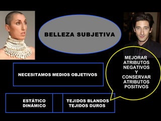 OCLUSIÓN
BELLEZA SUBJETIVA
NECESITAMOS MEDIOS OBJETIVOS
ESTÁTICO
DINÁMICO
TEJIDOS BLANDOS
TEJIDOS DUROS
MEJORAR
ATRIBUTOS
NEGATIVOS
Y
CONSERVAR
ATRIBUTOS
POSITIVOS
 