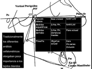 Tradicionalmente
los diferentes
análisis
cefalométricos
otorgaban poca
importancia a los
tejidos blandos
 