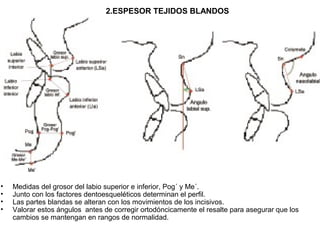 2.ESPESOR TEJIDOS BLANDOS
• Medidas del grosor del labio superior e inferior, Pog´ y Me´.
• Junto con los factores dentoesqueléticos determinan el perfil.
• Las partes blandas se alteran con los movimientos de los incisivos.
• Valorar estos ángulos antes de corregir ortodóncicamente el resalte para asegurar que los
cambios se mantengan en rangos de normalidad.
 
