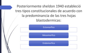 Posteriormente sheldon 1940 estableció
tres tipos constitucionales de acuerdo con
la predominancia de las tres hojas
blastodermicas:
Ectomorfico
Mesomorfico
Endomorfico
 