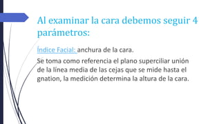 Al examinar la cara debemos seguir 4
parámetros:
Índice Facial: anchura de la cara.
Se toma como referencia el plano superciliar unión
de la línea media de las cejas que se mide hasta el
gnation, la medición determina la altura de la cara.
 