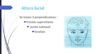 Altura facial
Se trazan 3 perpendiculares :
Crestas superciliares
 punto subnasal
Gnation
 