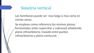 Simetria vertical
Las hemifacies puede ser mas larga o mas corta en
ciertas zonas.
Se emplean como referencia los mismos planos
horizontales antes superciliar y subnasal) añadiendo
plano infraorbitario, trazado entre puntos
infraorbitarios y plano comisural.
 