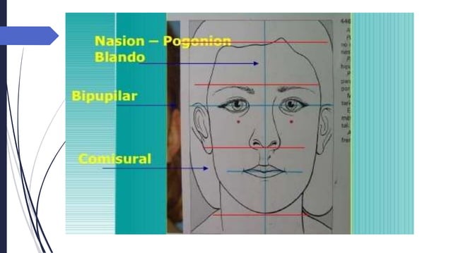 prentice hall world history ellis esler