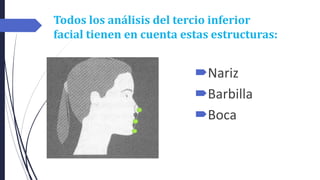 Todos los análisis del tercio inferior
facial tienen en cuenta estas estructuras:
Nariz
Barbilla
Boca
 