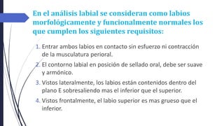 En el análisis labial se consideran como labios
morfológicamente y funcionalmente normales los
que cumplen los siguientes requisitos:
1. Entrar ambos labios en contacto sin esfuerzo ni contracción
de la musculatura perioral.
2. El contorno labial en posición de sellado oral, debe ser suave
y armónico.
3. Vistos lateralmente, los labios están contenidos dentro del
plano E sobresaliendo mas el inferior que el superior.
4. Vistos frontalmente, el labio superior es mas grueso que el
inferior.
 