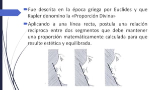 Fue descrita en la época griega por Euclides y que
Kapler denomino la «Proporción Divina»
Aplicando a una línea recta, postula una relación
reciproca entre dos segmentos que debe mantener
una proporción matemáticamente calculada para que
resulte estética y equilibrada.
 