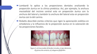  Lombardi lo aplico a las proporciones dentales analizando la
proporción áurica en la clínica protésica. Así, por ejemplo, la anchura
mesiodistal del incisivo central esta en proporción áurica con la
anchura del lateral y también la anchura del lateral esta en proporción
áurica con la del canino.
 Ricketts describió ciertos criterios que rigen la apreciación estética en
ortodoncia y la influencia de la proporción áurica en la valoración de
las proporciones faciales.
 