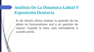 Análisis De La Dinamica Labial Y
Exposición Dentaria
Es de interés clínico analizar la posición de los
labios en funcionalismo oral y en posición de
reposo. Cuando la boca esta entreabierta o
cuando sonríe.
 