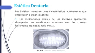 Estética Dentaria
Los incisivos muestran unas caracteristicas autonomicas que
embellecen o afean la sonrisa:
1. Las inclinaciones axiales de los incisivos apareceran
divergentes en condiciones normales con las coronas
lgeramente inclinadas hacia mesial.
 