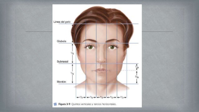Analisis facial