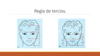Regla de tercios.
 