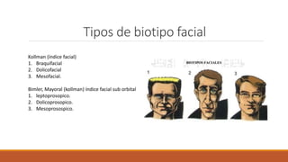 Tipos de biotipo facial
Kollman (índice facial)
1. Braquifacial
2. Dolicofacial
3. Mesofacial.
Bimler, Mayoral (kollman) índice facial sub orbital
1. leptoprosopico.
2. Dolicoprosopico.
3. Mesoprosospico.
 
