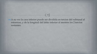 
 A su vez la cara inferior puede ser dividida en tercios del subnasal al
estomion, y de la longitud del labio inferior al mentón los 2 tercios
restantes.
 